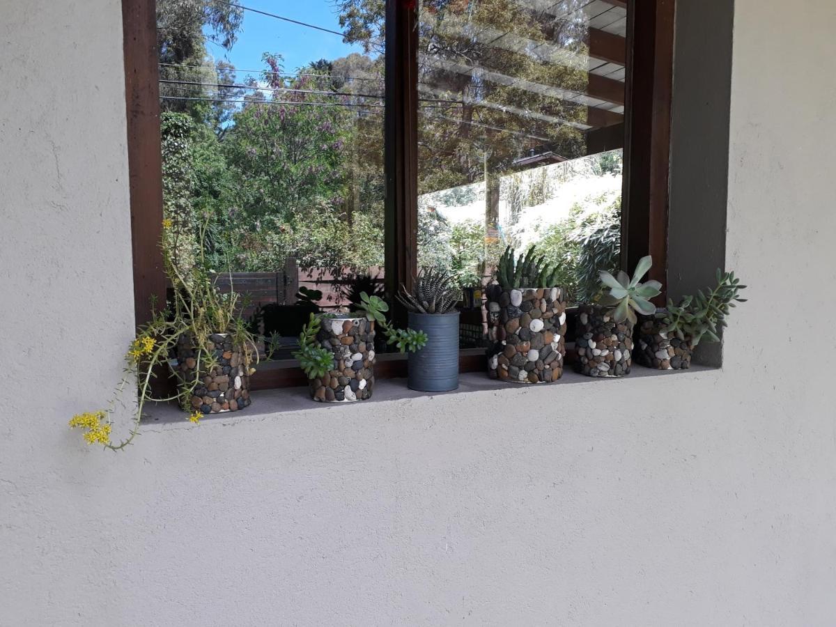 מר דל פלאטה Las Cortaderas Bosque Peralta Ramos מראה חיצוני תמונה