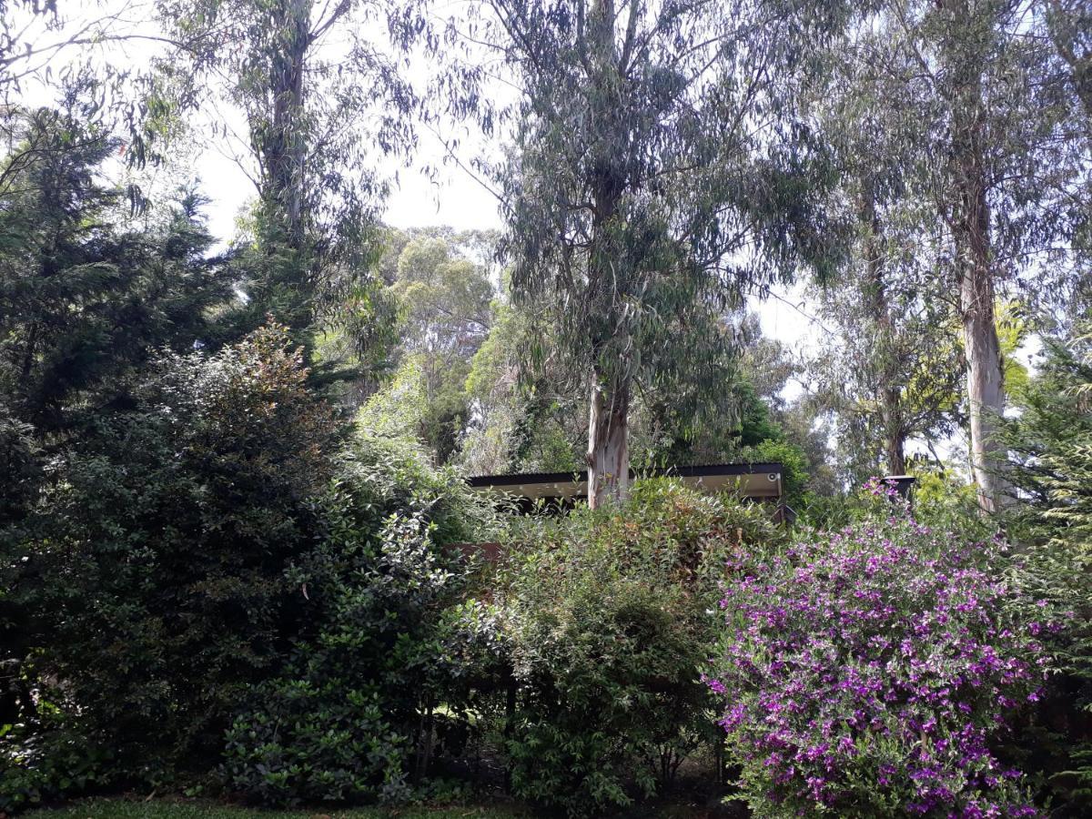 מר דל פלאטה Las Cortaderas Bosque Peralta Ramos מראה חיצוני תמונה